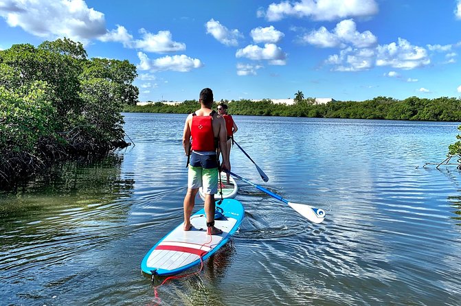 Mangrove SUP Safari - Health and Accessibility Guidelines