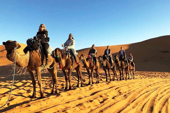 Marakech Saharan Splendor 2 Days Luxury Camp Desert Tour From Fes - Ouarzazate Cinema Studio Visit