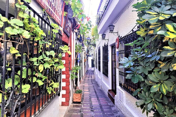 Marbella: Private Walking Tour - Preparation Tips
