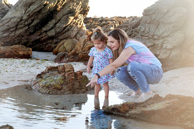 Marine Eco Safari - Important Booking Information