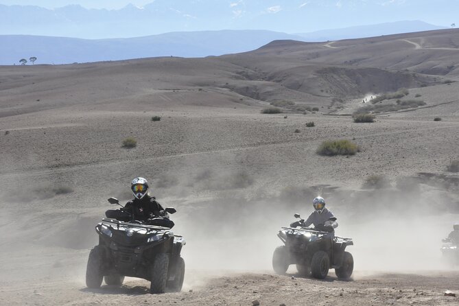 Marrakech: Buggy Ride in the Palm Grove With Tea Break - Logistics and Meeting Details