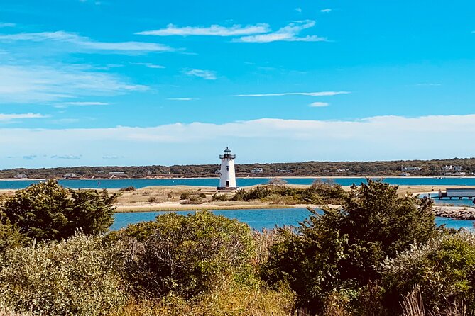 Marthas Vineyard Luxury Tour (2hrs) - Accessibility Information