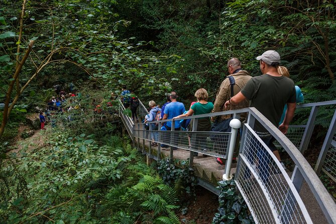Martvili Canyon & Prometheus Cave Group Tour From Tbilisi - Meeting and Pickup