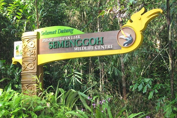 Marvellous Creature Orangutan : Sarawak Semenggoh Wildlife Centre Tour - Pickup Locations