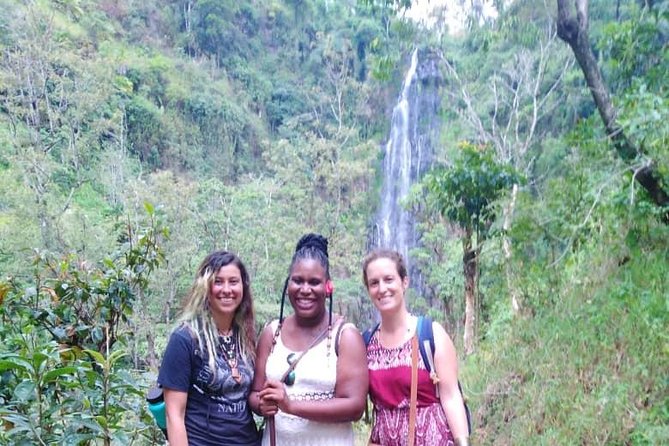 Materuni Waterfall and Coffee Tour ( Fullday). - Accessibility Features