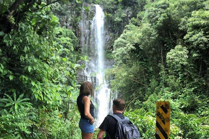 Maui Tour : Road to Hana Day Trip From Lahaina With Pick-Up - Tour Guides and Activities
