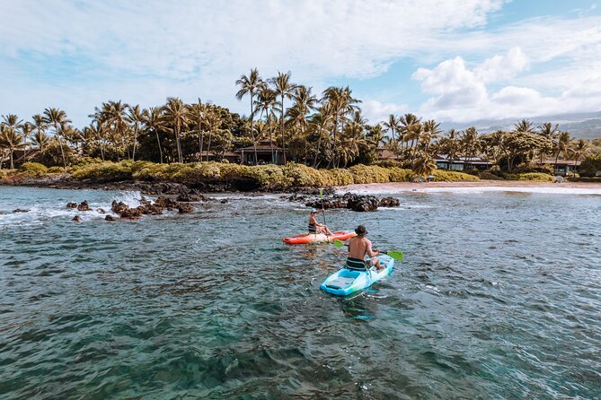 Maui'S ONLY Electric Powered Kayak & SUP Hybrid Rentals. - Health and Safety Guidelines