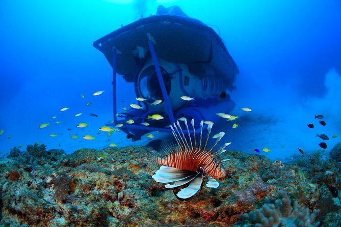 Mauritius Unique Submarine Tour - Accessibility and Suitability