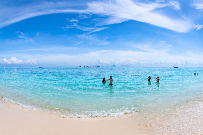 Maya Bay, Phi Phi & Bamboo Island Premium Trip by Seastar From Phuket - Reviews and Ratings