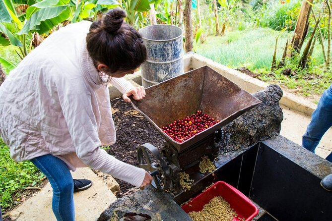 Medellin Horse Ride Coffee Tour and Spa - Meeting and End Point Details