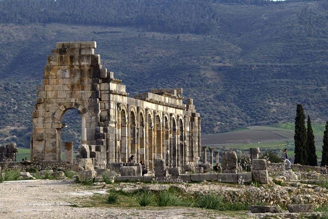 Meknes and Volubilis Day Trip From Fez - Reviews and Feedback