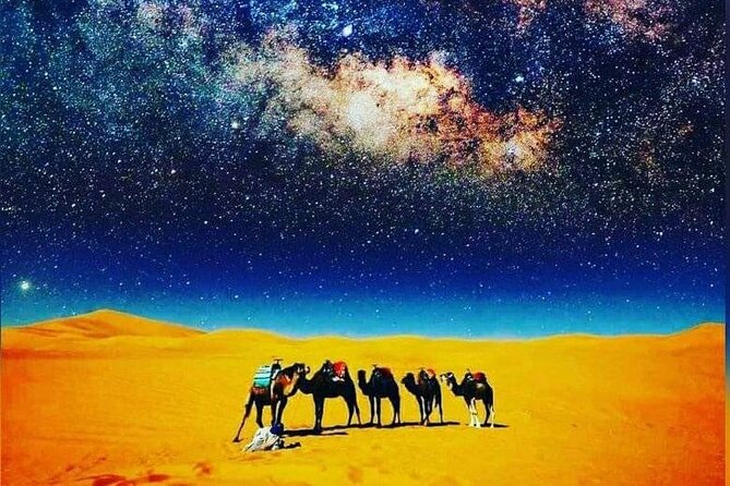 Merzouga Camel Trekking 1 Night Experience - Cancellation Policy