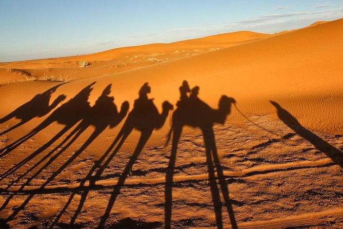 Merzouga Camel Trekking & Overnight Desert Camp - Logistics and Accessibility