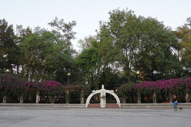Mexico City: 19 City Highlights Bicycle Tour - Recommendations for Visitors