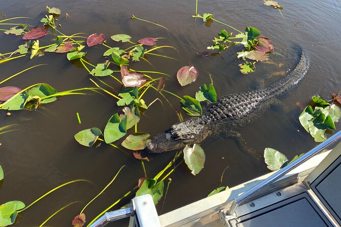 MIAMI: Everglades Airboat and Wildlife Sanctuary - Meeting and Transportation Details