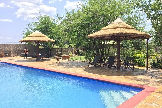 Mikumi National Park 2 Days/ 1 Night - Transportation and Pickup Logistics