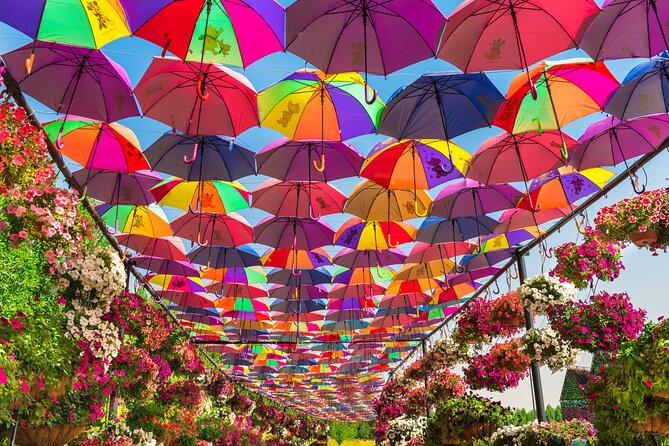 Miracle Garden In Dubai - Tips for Your Visit