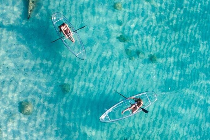 Mnemba Dolphin Tour, Clear Kayak, Cooking Class, Horse Riding - Pricing and Booking Options