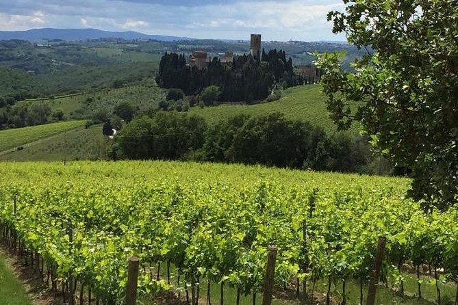 Montecatini Private Day Trip To Chianti & San Gimignano - Discovering Badia a Passignano