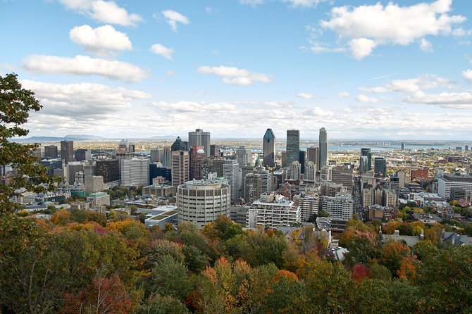 Montreal Private Vehicle City Tour - Traveler Experiences and Reviews