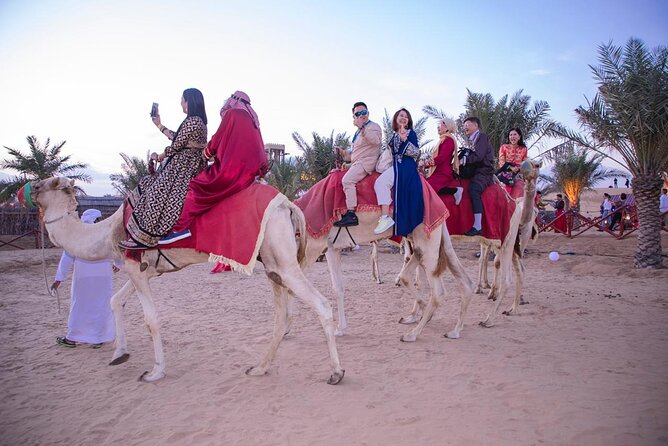 Morning Safari Camel Ride & Quad Biking Tour - Operating Hours