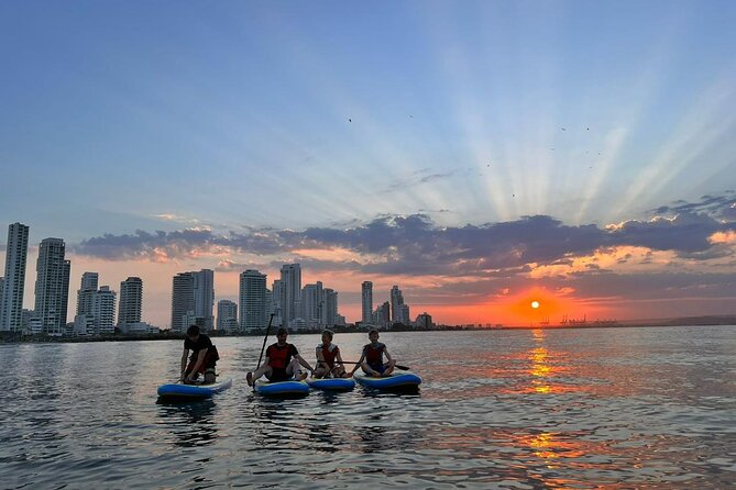 MORNING TOUR Paddleboard or Kayak - Safety and Support