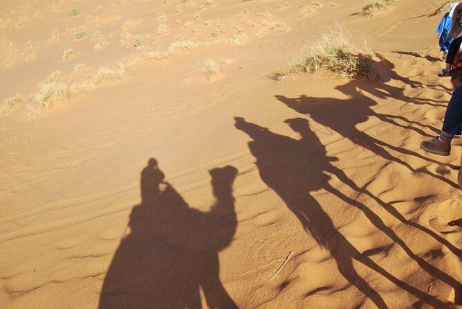 Morocco Desert Tour 8 Days Desert Tour From Tangier to Marrakech - Accommodation and Meal Details