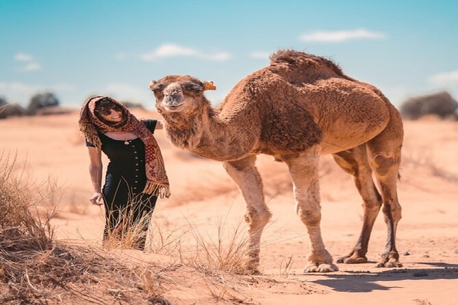 Morocco Desert Trek Dromedary Mhamid Dunes - Participant Requirements