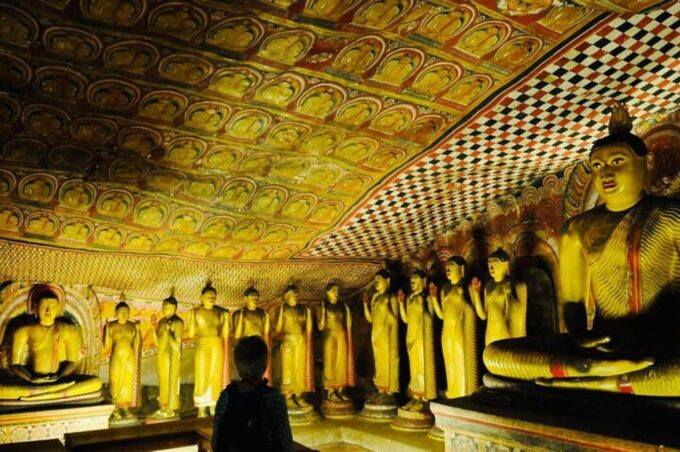 Most Popular Private Tour in Sri Lanka With Including Hotels - Accommodation and Transportation