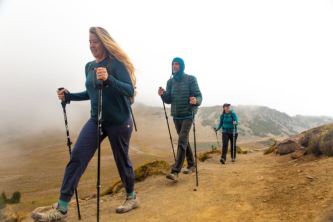 Mount Rainier Full Day Private Tour and Hike - Pricing and Group Size