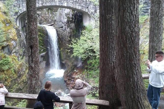 Mount Rainier Tour From Seattle - Traveler Reviews