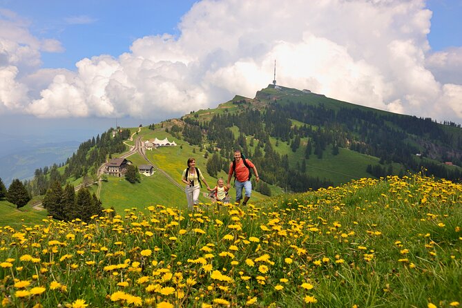 Mount Rigi Day Trip From Lucerne - Physical Fitness Requirements