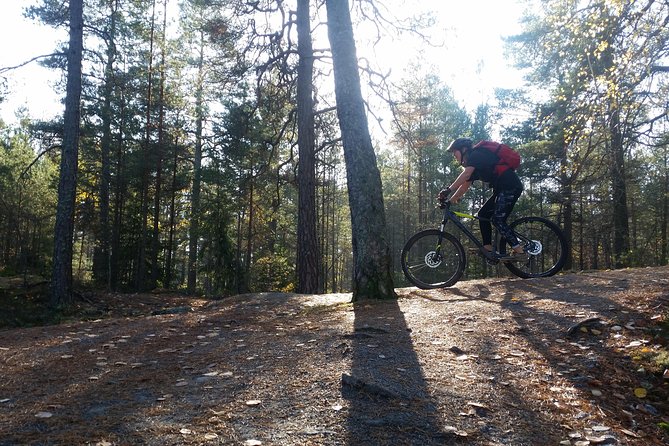 Mountain Biking Small-Group in Stockholm Forests for Beginners - Exploring the Nackareservatet National Forest
