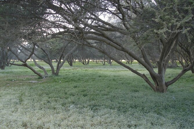 Mountain Safari in Jebel Harim - Facilities and Amenities