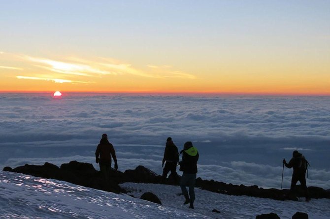 Mt Kilimanjaro Climbing; 7 Days Lemosho Route - Meeting and Pickup Details