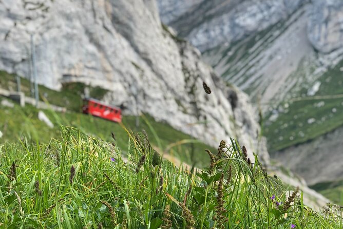 Mt. Pilatus With Lake of Lucerne Cruise Private Tour From Lucerne - Tour Booking and Assistance
