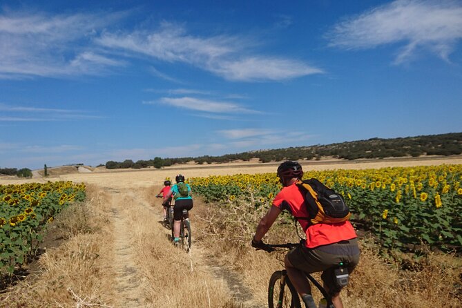 MTB (Self-Guided) Setenil De Las Bodegas - 30KM Easy - End Point