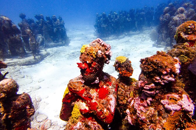 MUSA Museum and Colorful Reef 2 Tank Dive-Certified Divers - Booking and Health Restrictions