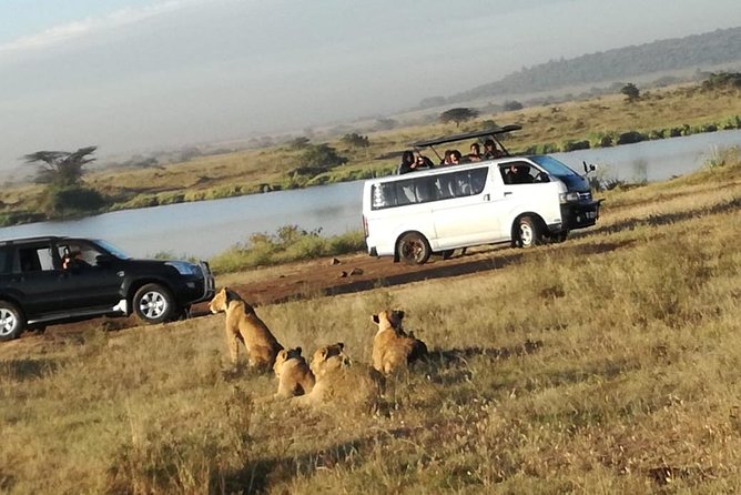 Nairobi National Park, Elephant Orphanage, Giraffe Centre Tour - Wildlife Sightings
