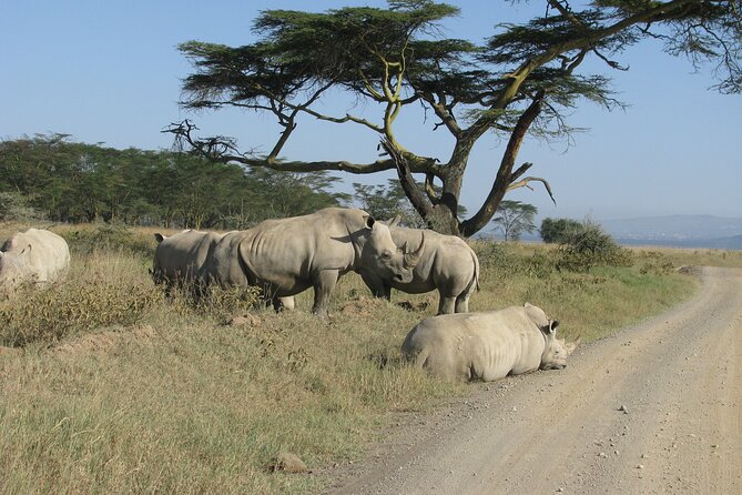 Nairobi Park Wildlife Safari - Tour Details and Policies
