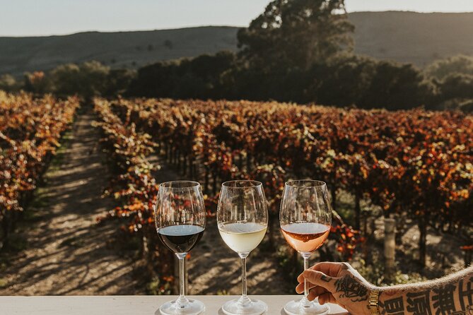 Napa and Sonoma Wine and Food Experience (Napa Pickup) - Lunch in Sonoma