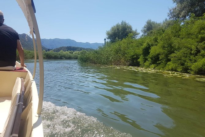 National Park Skadar Lake (Private Tour) - Transportation and Comfort