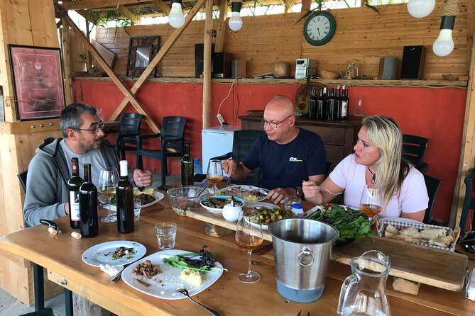 Natural Wine Tour to Kartli Region, Lunch & Wine Tasting at Andro Barnovi - Health and Accessibility