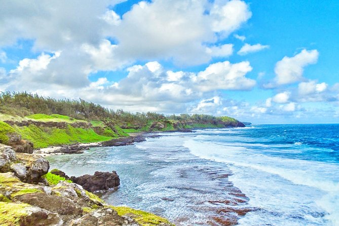 Nature Discovery Tour: Dolphins, Tortoises, the Wild South & More - Frequently Asked Questions