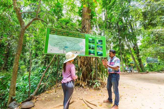 Nature Tour to Udawatte Kele Sanctuary, Kandy From Bentota - Traveler Reviews and Feedback