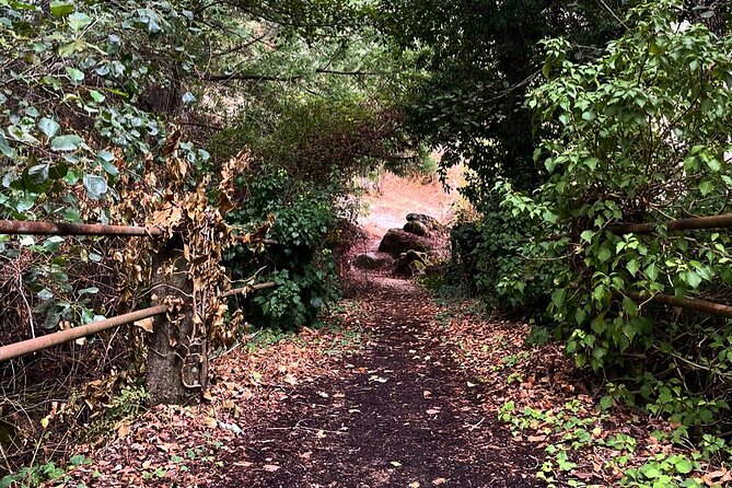 Nature Walks in Marvão: A Review - Schedule and Availability