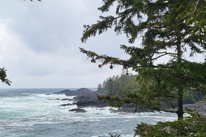 Nature Walks in Pacific - Additional Information