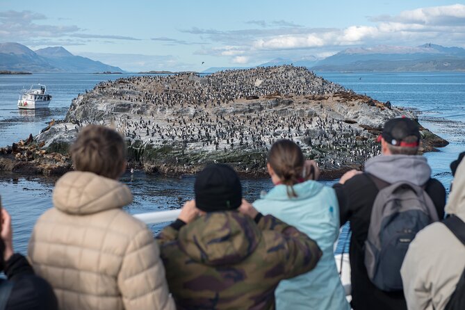 Navigation to the Penguins Island - USHUAIA - Beagle Channel - Customer Feedback and Experiences