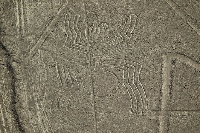 Nazca Lines Overflight Tour From Nazca - Customer Reviews and Feedback