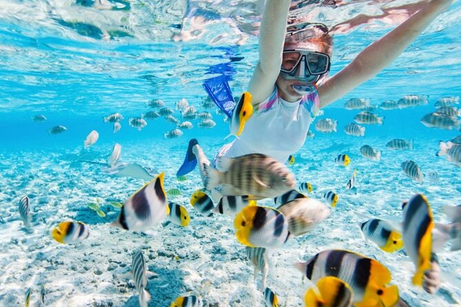 Nha Trang 3 Island VIP Tour - Booking Information